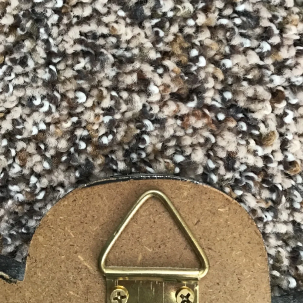 Set of 3 Colorful Wall Hooks